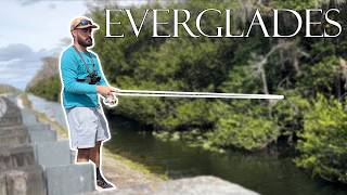 Everglades Roadside Fishing For INSANE Exotic Fish!!
