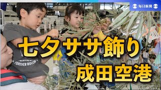 七夕に願いを込めて　成田空港で園児がササ飾りに短冊つるす