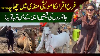 Farah Iqrar's raid on cattle market l Surprising rates of animals...