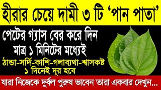 খালি পেটে ৩ টি করে পান পাতা একটানা ৩ দিন খেলে গোড়া থেকে দূর হবে ২০ টি রোগ। পান পাতার অজানা উপকারিতা