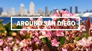 Around San Diego |  Stories you may have missed from the past week (Dec 29)