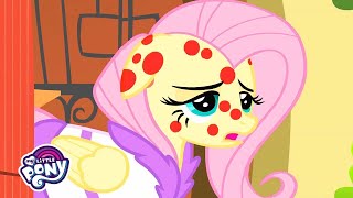 My Little Pony | Hurricane Fluttershy | My Little Pony Friendship is Magic | MLP: FiM