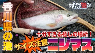 【野池トラウト】ファミリーでもオススメ、癒しの場でニジマスを釣る【地球遊び 256】