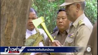 บวงสรวงต้นจันทน์หอม ใช้ในพระราชพิธีถวายพระเพลิงพระบรมศพ