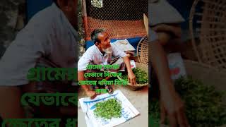 গ্রামের চাচাদের বাজারে বেচা-বিক্রি...  #villagelife #villagevlog #ShafiqDaily