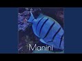 Manini