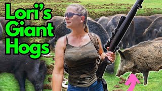 She Goes WILD HOG HUNTING. Biggest Pigs Ever Seen!