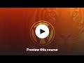 Become a WordPress Developer: Unlocking Power With Code