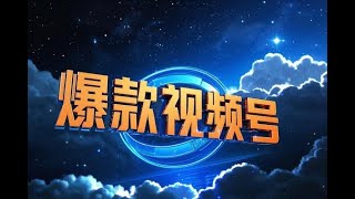 视频号实战流程定位规划运营算法打造爆款8 视频号变现