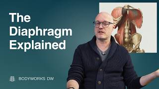 Why the Diaphragm Affects Back, Shoulder, Neck & Hip Pain | Myofascial Release Massage Tutorial
