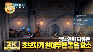 [찍먹공략] 협동 액션RPG '타워본(Towerborne)' 초보자가 알아두면 좋은 요소들.