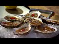 claudio aprile s raw bar how to prepare oysters masterchef canada s5