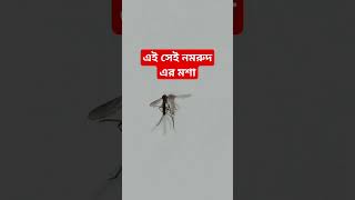 এখনো কিছু কিছু নমরুদ রয়ে গেছে🦟🦟#ভাইরাল#Reel