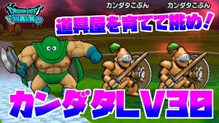 【DQウォーク】カンダタLV30に挑戦＆こころの性能紹介