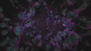 DNA Damage