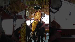 ഗുരുവായൂർ പൊന്നുണ്ണി | Krishna Devotional Song | Guruvayoor Ponnunni #shorts #krishna #devotional