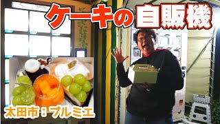 ケーキの自販機で深夜のパーティ。群馬県太田市プルミエ【ギモーヴ】【ど冷えもん】【シャインマスカット】