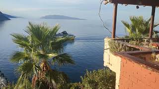 Dining out in Poros, Kefalonia... Great views, Great food \u0026 drink, Great people ❤️ @DB_SCENES