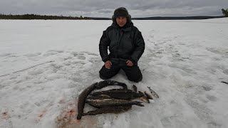 ЗИМНЯЯ РЫБАЛКА В МАРТЕ НОЧЬЮ / WINTER FISHING IN MARCH AT NIGHT