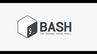 Mastering Bash Scripting: Special Variables, Traps, File Testing & More! || Video 3 || Ubuntu