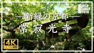 【新緑の京都】 嵐山 常寂光寺〜 小倉百人一首選定で知られる古刹。瑞々しい新緑の薫る常寂光寺の青もみじをお楽しみ下さい。[No.154] #青もみじ #常寂光寺