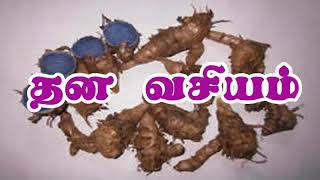 தன வசியம்