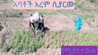 አረም አርመው ያውቃሉ?ትዝታ የሀገር ቤት