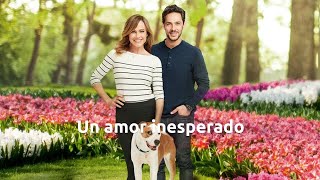 Un amor inesperado [2.019] HDTVRip (Español Castellano)