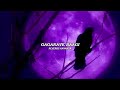 gaganave baagi sanju weds geetha slowed reverb