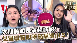 大仙魔術表演超精彩！蜘蛛青蛙都變得出手小Ｓ驚：值得一看！【#小姐不熙娣】20240607 EP576 Part1