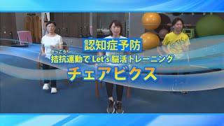 めざそう生涯現役！ひめじ（認知症予防、チェアビクス）