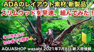 新製品！ADAスリムウッド流木を早速組んでみた！AQUASHOP wasabi２０２１年７月８日新入荷情報 ネイチャーアクアリウム立ち上げ初心者、水草水槽の作り方、レイアウト素材、３０ｃｍキューブ水槽