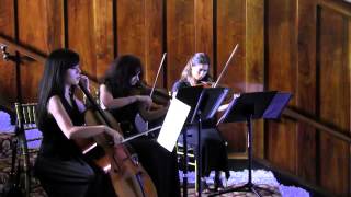 Los Angeles String Trio/Quartet Classical Musicians