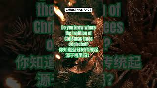 🎄Do you know where the tradition of Christmas trees originated? 你知道圣诞树传统起源于哪里吗？#shorts #XmasFact