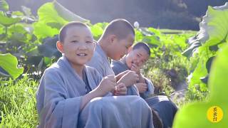 佛教寺院的美食《曹山宝积寺的禅式素食》Vegan Cuisine at Caosan Baoji Monastery, Jiangxi Province, China