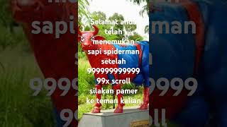 Selamat anda telah menemukan sapi spiderman #meme #fypシ゚