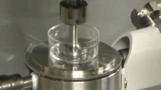 Shear rheometric test on polyacrylamide hydrogels 1