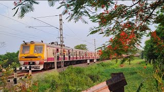 অপরূপ সুন্দর প্রকৃতির মাঝখান দিয়ে লোকাল ট্রেন, ইন্টারসিটি এক্সপ্রেস ধাওয়াপাড়া রেলগেট অতিক্রম করল