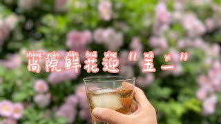 20220501视频记录：满园春色关不住，小区小院鲜花迎五一💐💐💐 eps 27