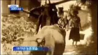 [대구MBC뉴스] 창사기획-상전벽해 농촌의 모습