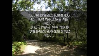 马儿啊你慢些走 【歌词版】 降央卓玛