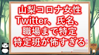 山梨コロナ女性　Twitter、氏名、職場まで特定。特定班の恐ろしすぎる手法とは。