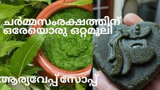 ആര്യവേപ്പ് സോപ്പ് ഉണ്ടാക്കുന്ന വിധം /home made neem soap