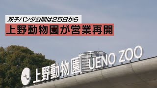 上野動物園が営業再開