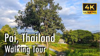 【4K】Pai, Thailand Walking Tour | Morning Stroll East of the River (ปาย)