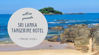 #31 🇱🇰 Sri Lanka ☀️ Hotel Tangerine Beach 🌴 Kalutara 🌞 zima