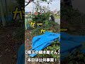 【埼玉の植木屋さん】本日は公共事業！地域を幸せにしたい👍 富士見グリーンガーデン 造園 植木屋 社員募集 剪定 刈込み 富士見市 埼玉県