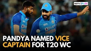 India T20 World Cup Squad Announced: Pant & Sanju Samson In, KL Rahul Misses Out