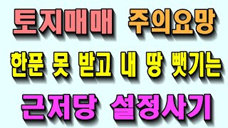 토지매매 근저당 설정사기 사건