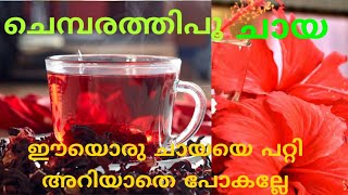 ചെമ്പരത്തിപൂ കൊണ്ടൊരു ചായ...അടിപൊളി...healthy Tea...Hibiscus Tea